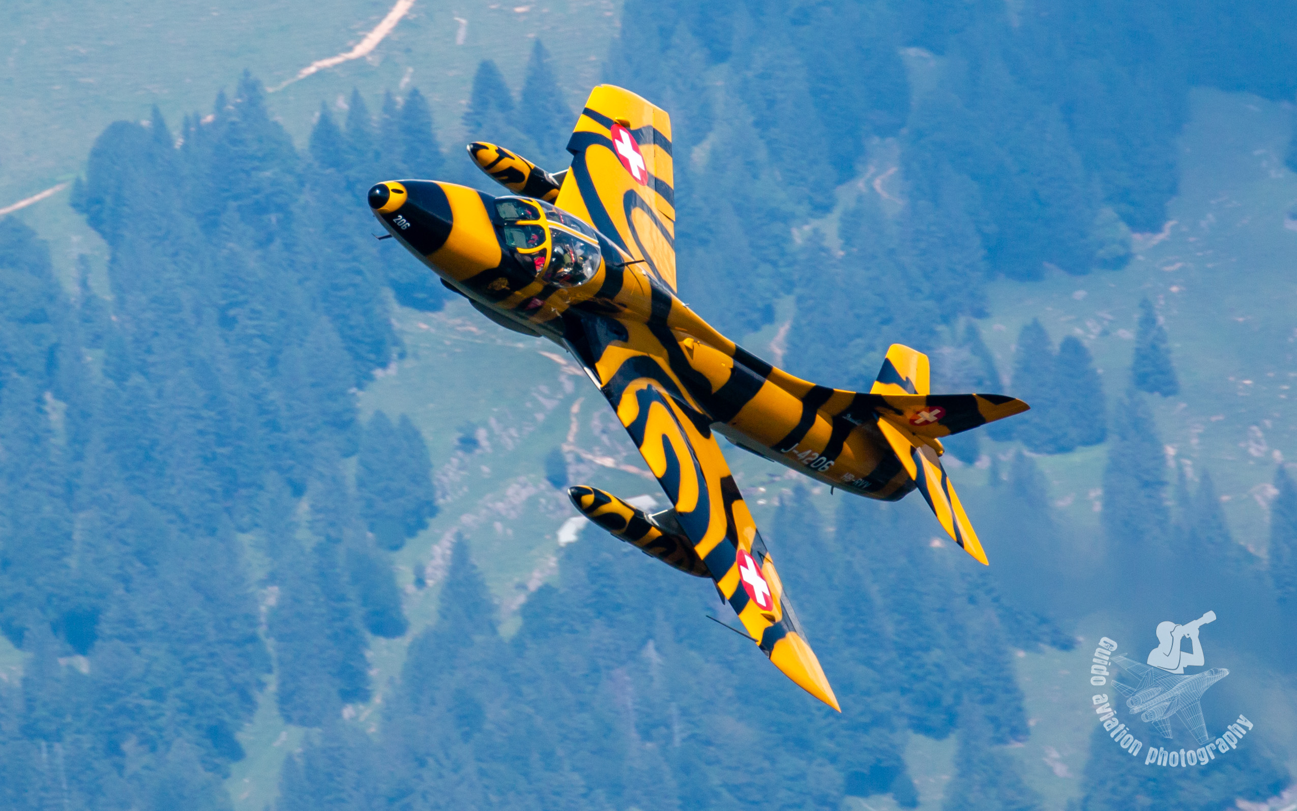 Mollis 25hunter 2021 6