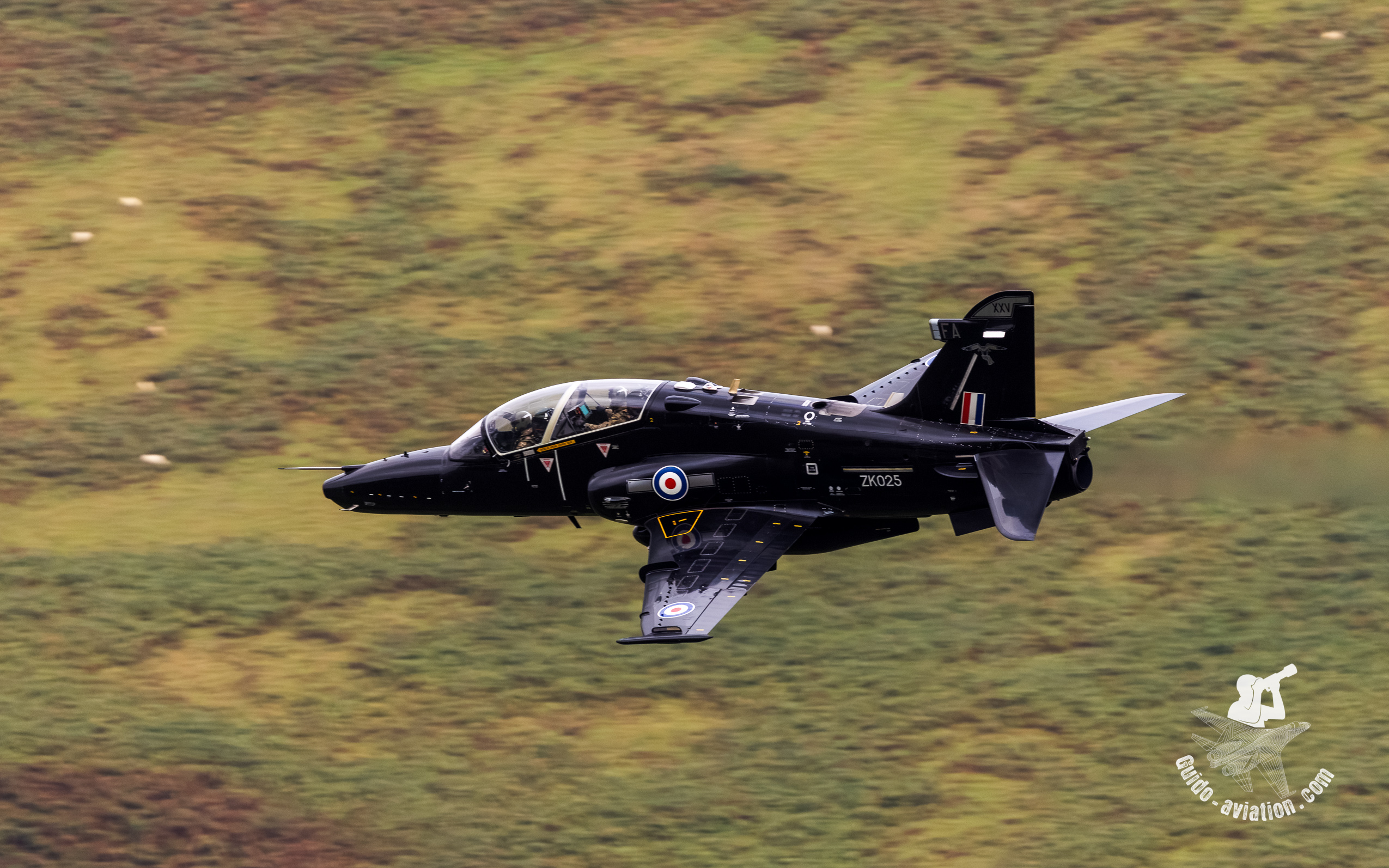 Machloop sept 2026 39